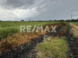  Terreno (Parcela) en venta en Salamanca, Guanajuato, Salamanca, Guanajuato