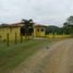  Land for sale in Penonome, Penonome, Penonome