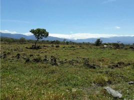  Terrain for sale in Alto Boquete, Boquete, Alto Boquete