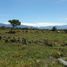  Land for sale in Alto Boquete, Chiriqui, Alto Boquete, Boquete