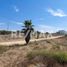  Grundstück zu verkaufen in Tijuana, Baja California, Tijuana, Baja California