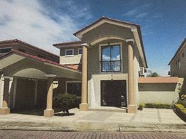 4 Habitación Villa en venta en Samborondón, Guayas, Samborondon, Samborondón