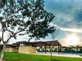  Grundstück zu verkaufen in Tixpehual, Yucatan, Tixpehual