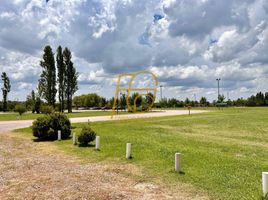  Land for sale in San Vicente, Buenos Aires, San Vicente