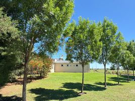  Land for sale in San Vicente, Buenos Aires, San Vicente