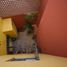 3 Schlafzimmer Haus zu verkaufen in Guanajuato, Guanajuato, Guanajuato, Guanajuato