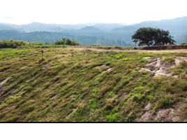  Land for sale in Manizales, Caldas, Manizales