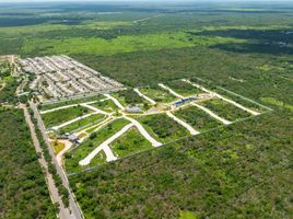  Grundstück zu verkaufen in Conkal, Yucatan, Conkal, Yucatan