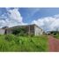  Land for sale in Villamar, Michoacan, Villamar
