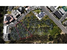  Land for sale in Bicentenario Park, Quito, Quito, Quito