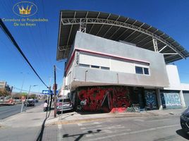 0 SqM Office for rent in Chile, Calama, El Loa, Antofagasta, Chile