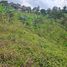 Terrain à vendre à Pereira, Risaralda, Pereira, Risaralda