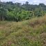 Terrain à vendre à Pereira, Risaralda, Pereira, Risaralda