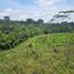 Terrain à vendre à Pereira, Risaralda, Pereira, Risaralda
