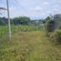 Terrain à vendre à Pereira, Risaralda, Pereira, Risaralda