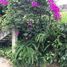 2 Schlafzimmer Haus zu verkaufen in Huitzilac, Morelos, Huitzilac, Morelos