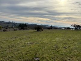  Terreno (Parcela) en venta en Pelarco, Talca, Pelarco