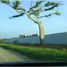  Land for sale in Centro, Tabasco, Centro, Tabasco