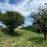  Land for sale in Durango, Durango, Durango, Durango
