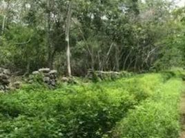  Grundstück zu verkaufen in Uman, Yucatan, Uman