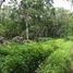  Land for sale in Uman, Yucatan, Uman