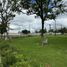 在Aguascalientes出售的 土地, Aguascalientes, Aguascalientes