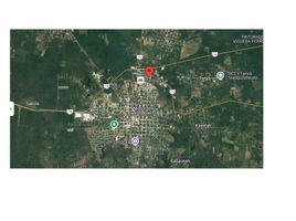  Terreno (Parcela) en venta en Motul, Yucatán, Motul