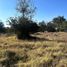  Land for sale in Contla De Juan Cuamatzi, Tlaxcala, Contla De Juan Cuamatzi