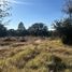  Land for sale in Contla De Juan Cuamatzi, Tlaxcala, Contla De Juan Cuamatzi