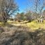  Land for sale in Contla De Juan Cuamatzi, Tlaxcala, Contla De Juan Cuamatzi