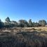  Land for sale in Contla De Juan Cuamatzi, Tlaxcala, Contla De Juan Cuamatzi