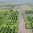  Land for sale in Allende, Nuevo Leon, Allende