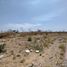  Land for sale in Apaseo El Grande, Guanajuato, Apaseo El Grande