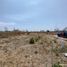  Land for sale in Apaseo El Grande, Guanajuato, Apaseo El Grande