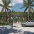  Grundstück zu verkaufen in Cozumel, Quintana Roo, Cozumel