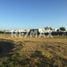  Land for sale in Jalpa De Mendez, Tabasco, Jalpa De Mendez