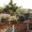 3 Bedroom House for rent in Miguel Hidalgo, Mexico City, Miguel Hidalgo