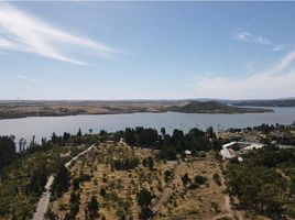  Land for sale in Las Cabras, Cachapoal, Las Cabras