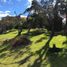 3 Habitación Casa en alquiler en La Calera, Cundinamarca, La Calera