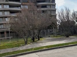 1 Habitación Apartamento en alquiler en Chile, Requinao, Cachapoal, Libertador General Bernardo O'Higgins, Chile