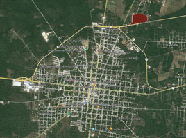  Terreno (Parcela) en venta en Motul, Yucatán, Motul