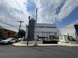 265 m2 Office for rent in Monterrey, Nuevo Leon, Monterrey