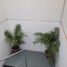20 m2 Office for rent in Cuautitlan Izcalli, Mexico, Cuautitlan Izcalli