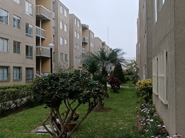 3 Schlafzimmer Appartement zu verkaufen in Surquillo, Lima, Surquillo, Lima, Lima, Peru
