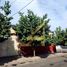 Maison 2 chambre à vendre à Guadalajara, Jalisco, Guadalajara