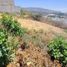  Land for sale in Tlaquepaque, Jalisco, Tlaquepaque