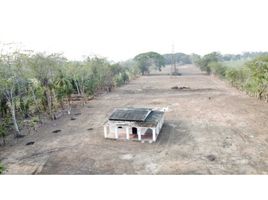  Land for sale in Cunduacan, Tabasco, Cunduacan, Tabasco