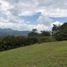  Land for sale in La Ceja, Antioquia, La Ceja