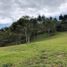  Land for sale in La Ceja, Antioquia, La Ceja