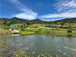  Terreno (Parcela) en venta en La Ceja, Antioquia, La Ceja